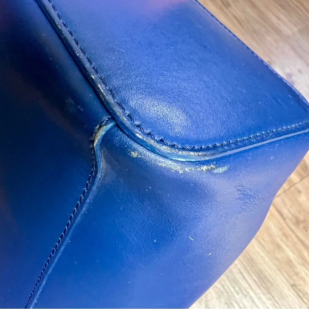 Everlane Blue Leather Tote Bag